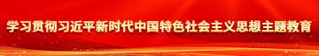 熟女骚逼学习贯彻习近平新时代中国特色社会主义思想主题教育